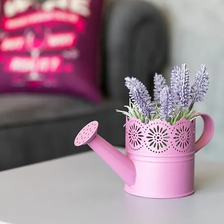 Lavanda By Casa de hóspedes